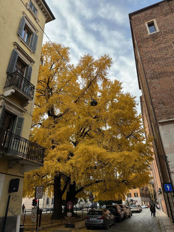 Domus Largo Pescheria Verona Dış mekan fotoğraf
